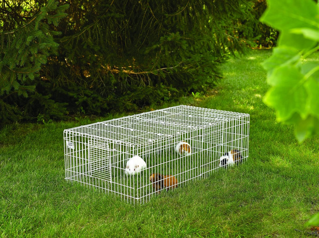 MidWest Homes for Pets Guinea Habitat Plus Cage