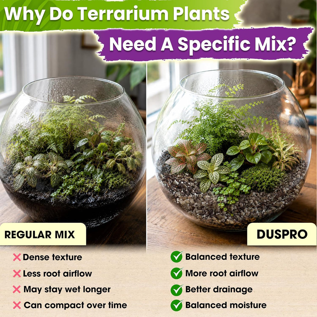 DUSPRO 6-in-1 Terrarium Soil Mix, Pre-Mixed & Ready to Use, 4QT