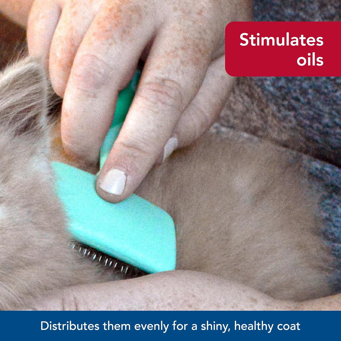 Coastal Pet Li'l Pals - Kitten Slicker Brush with Coated Tips