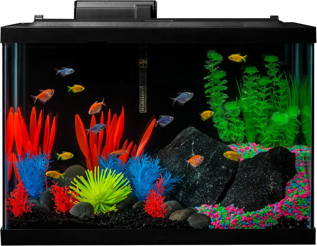 GloFish 20 Gallon Complete Fish Tank Kit