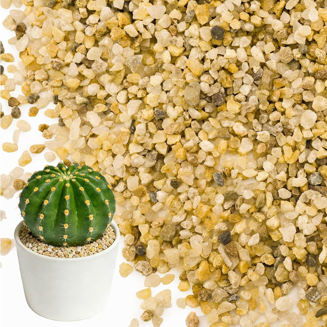 8LB 1-2mm Horticultural Sand for Succulents and Cactus Soil