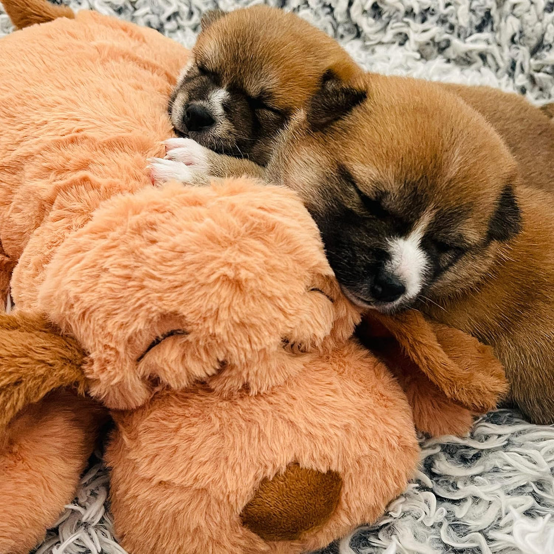 Snuggle Puppy Heartbeat Calming Puppy Toy