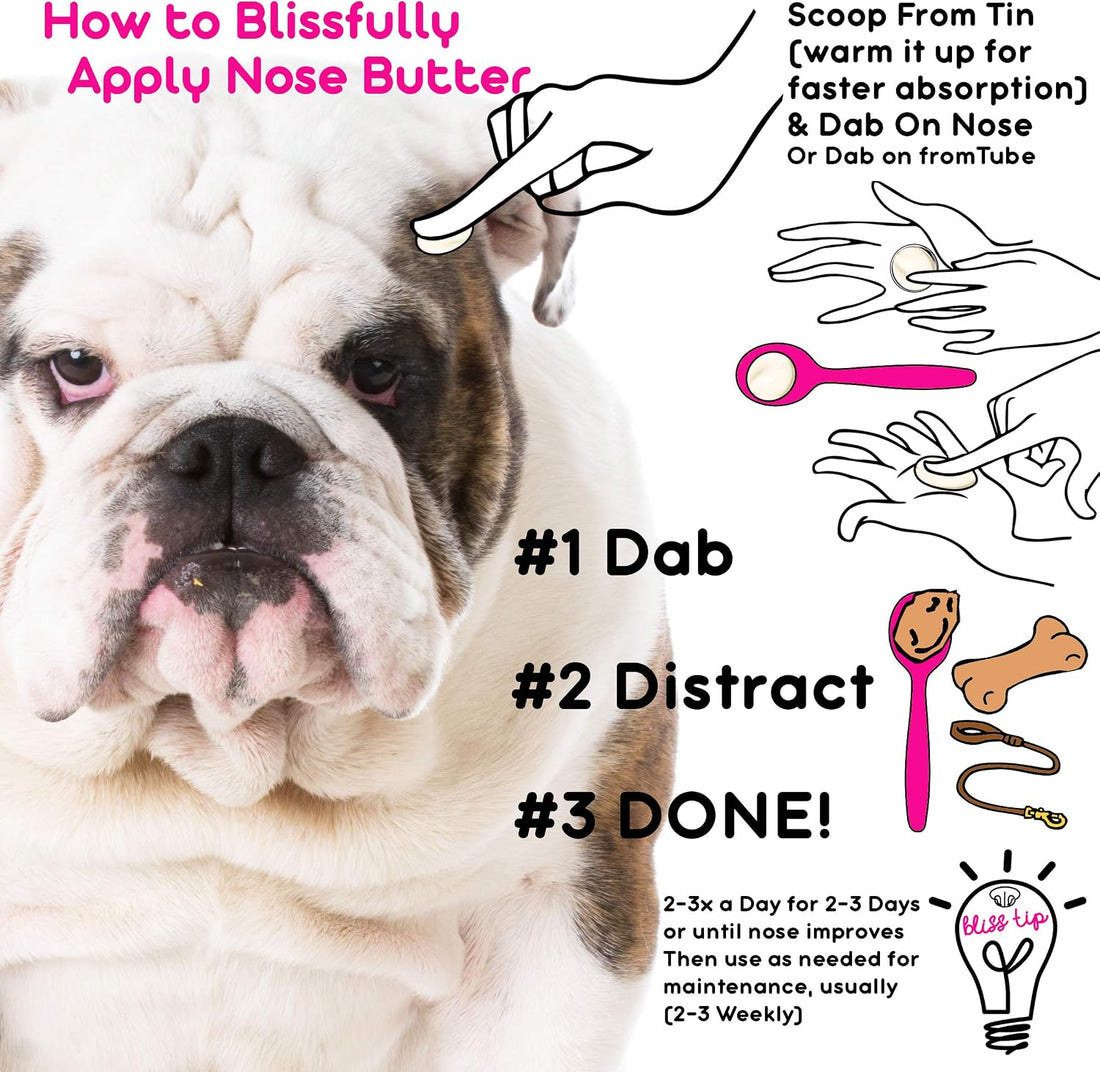 The Blissful Dog Bulldog Nose Butter