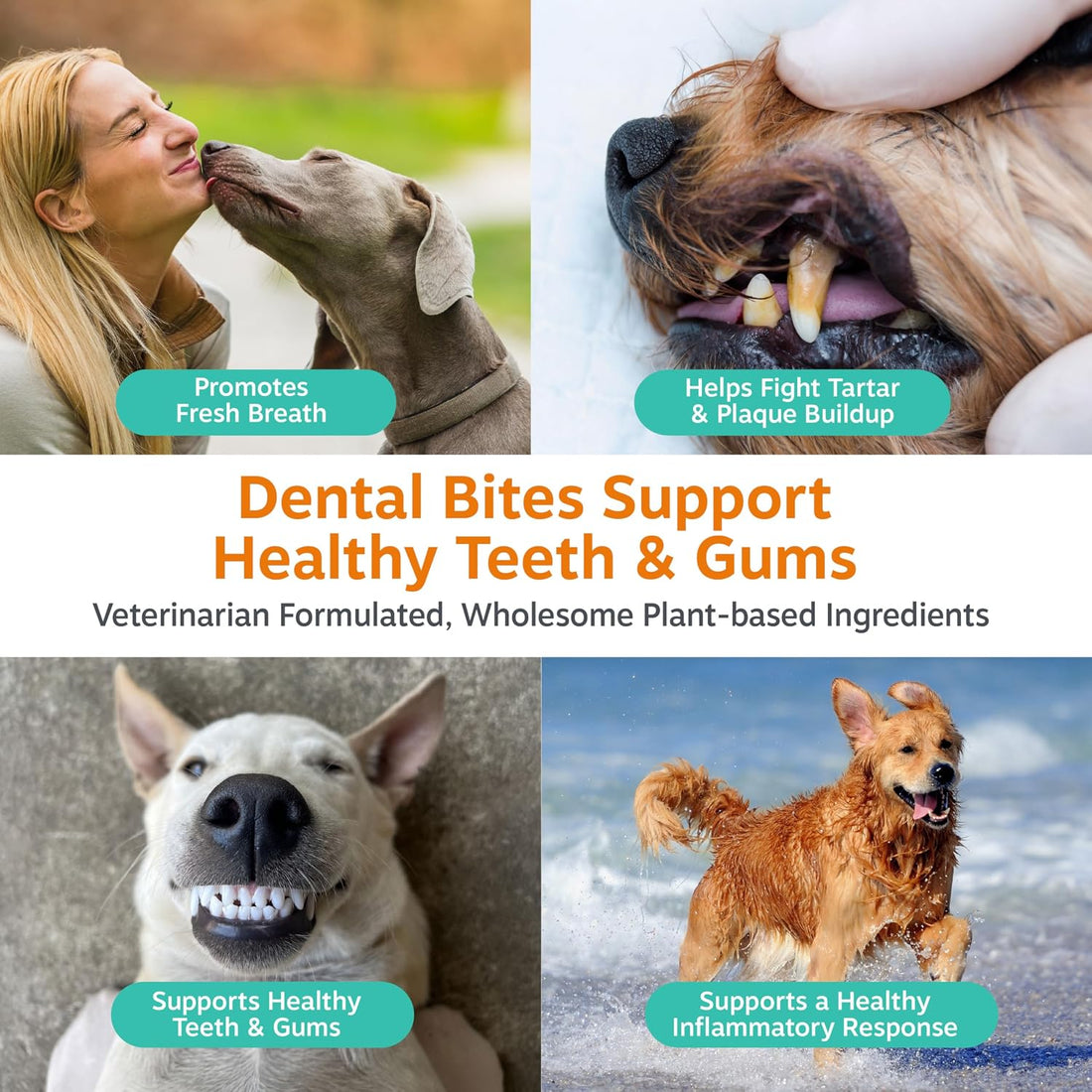 Zesty Paws Clean Breath Dental Chews for Dogs - Peppermint, 120 Ct