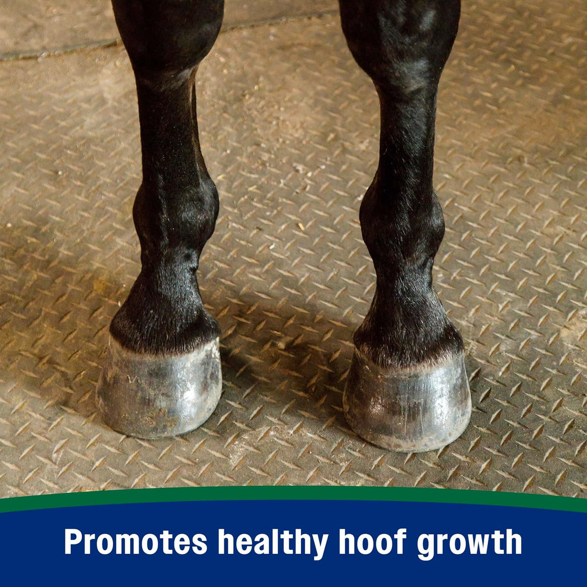 Farnam Horseshoer's Secret Pelleted Hoof & Biotin Supplements