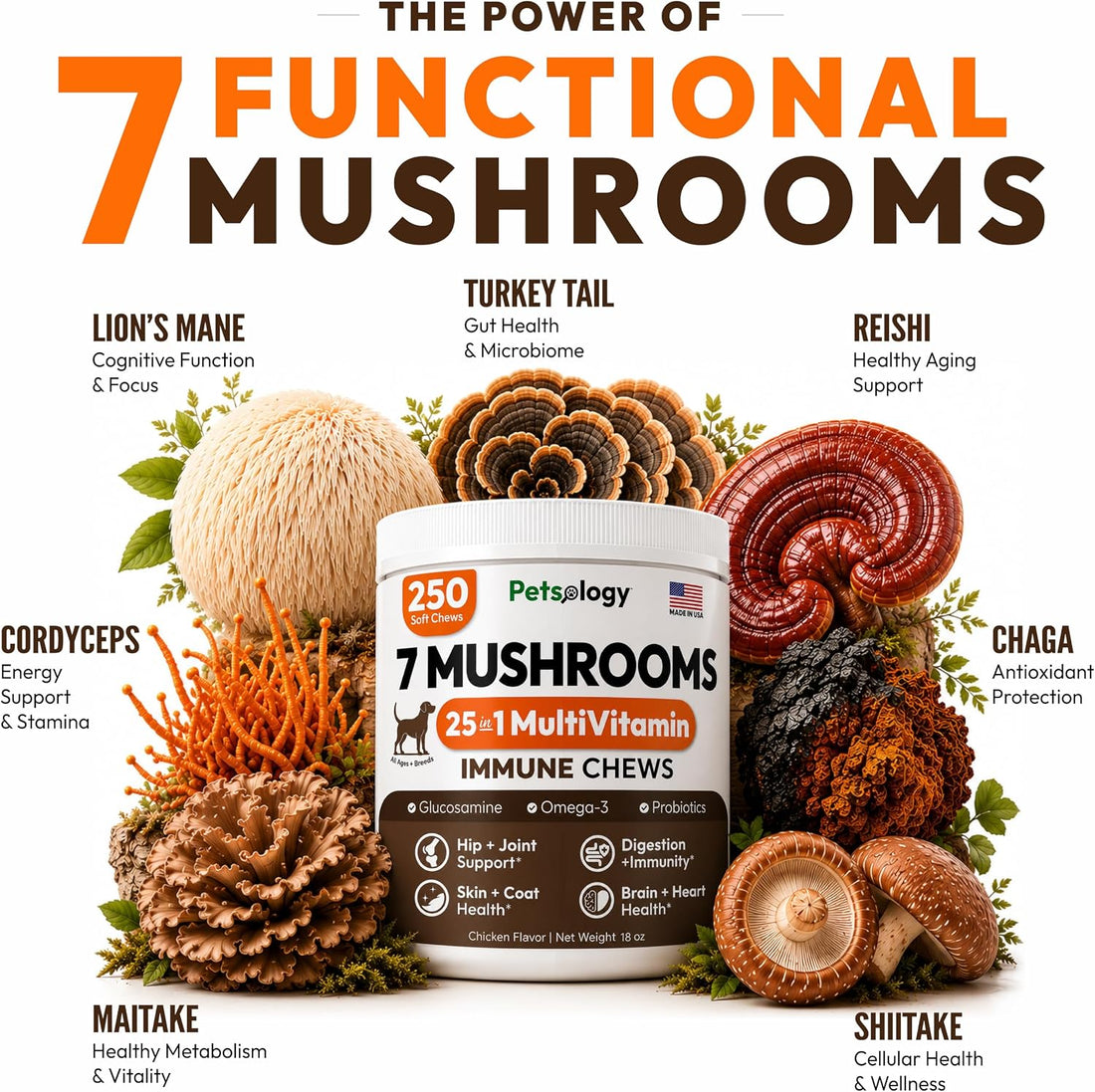 Turkey Tail Mushroom for Dogs - 250 Chews - Lion’s Mane - Shiitake