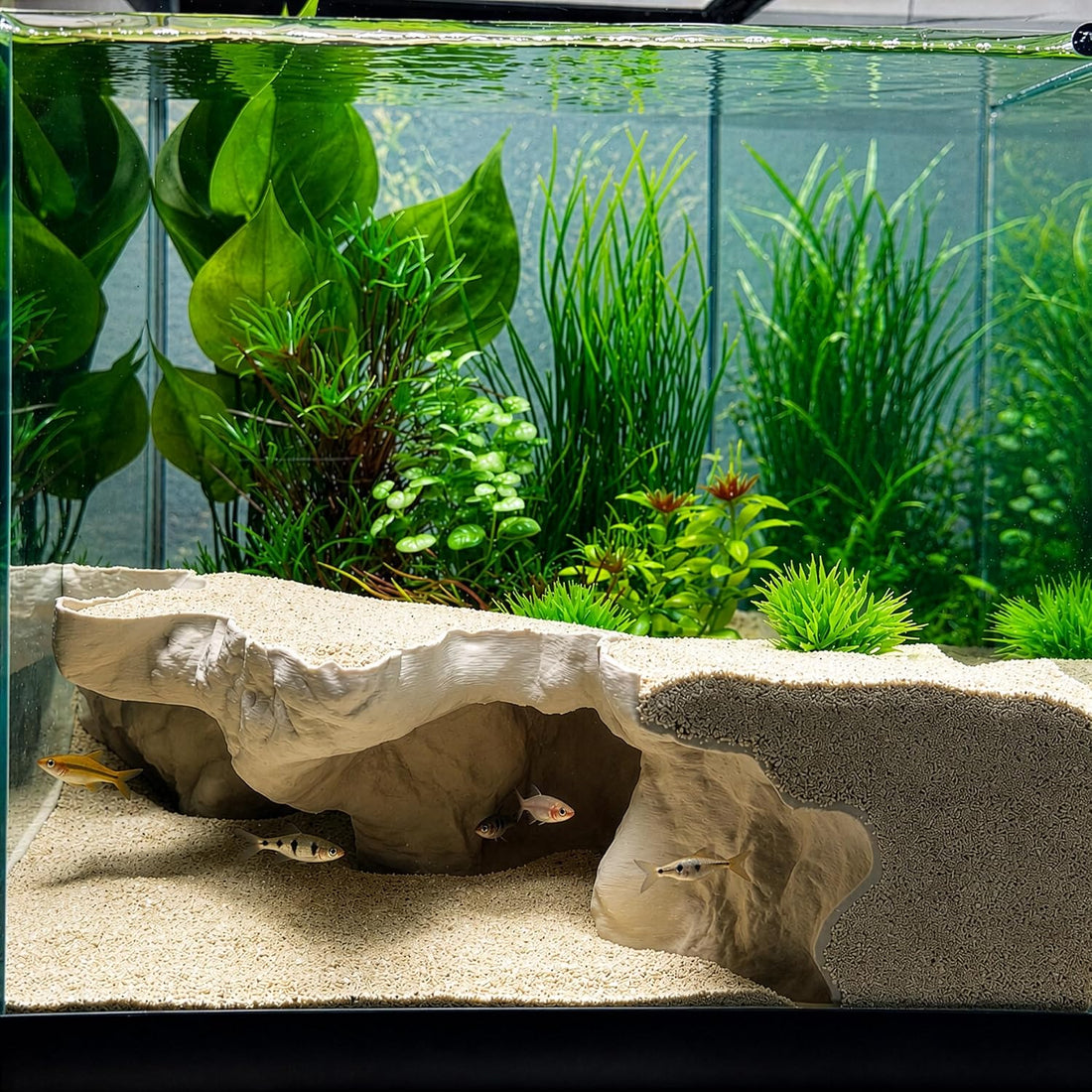 Aquarium Corner Underground Cave