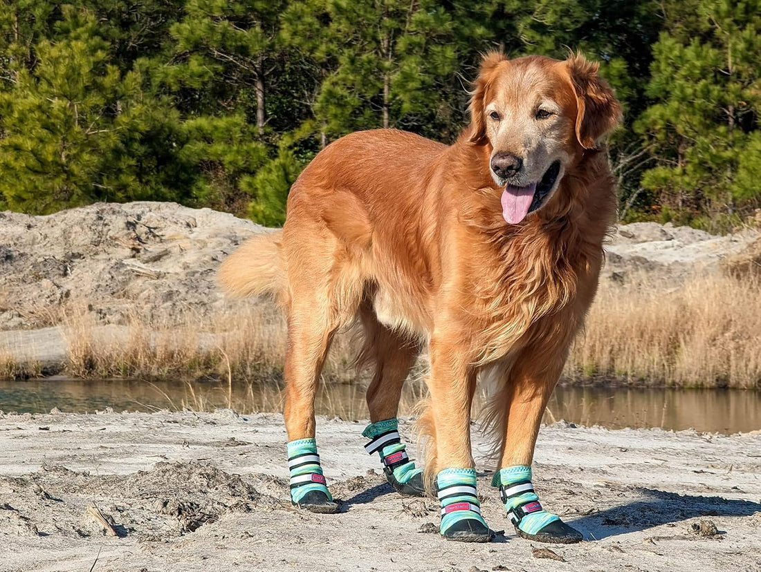 All Weather Neoprene Paw Protector Dog Boots with Reflective Straps