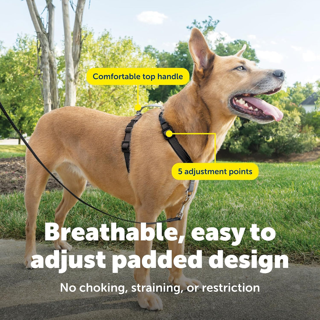 PetSafe 3 in 1 No-Pull Dog Harness for Medium Dogs - Walk