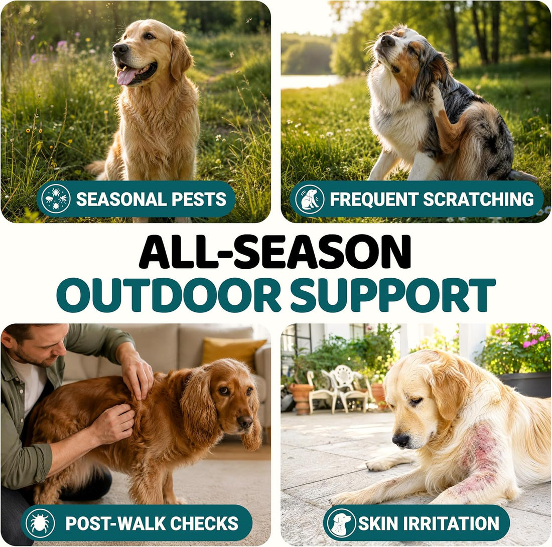 Chewable Flea and Tick Prevention for Dogs - 240 Chews