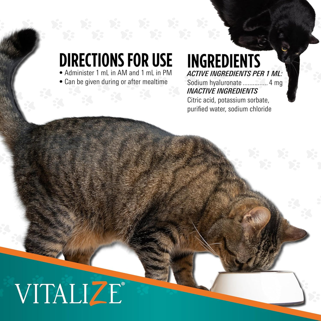 Vitalize® TRIXSYN® Feline- 2 Fl Oz