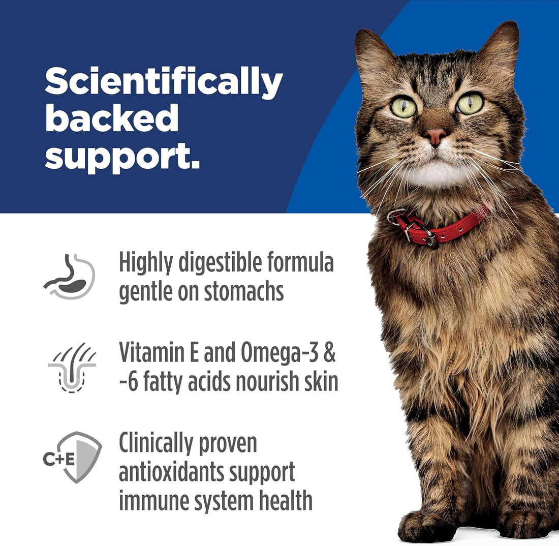 Hill's Science Diet Sensitive Stomach & Skin Dry Cat Food