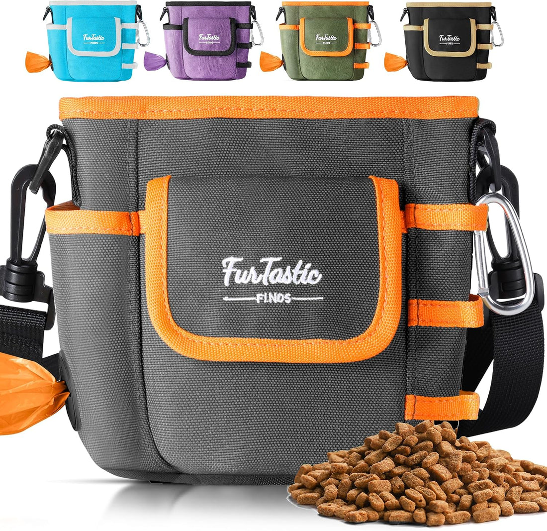Dog Treat Pouch with Magnetic Closure for Pet Training