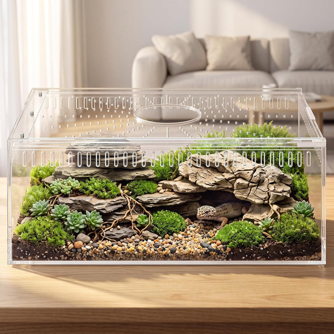 Jumping Spider Enclosure,Magnetic Doors All-Side Ventilation