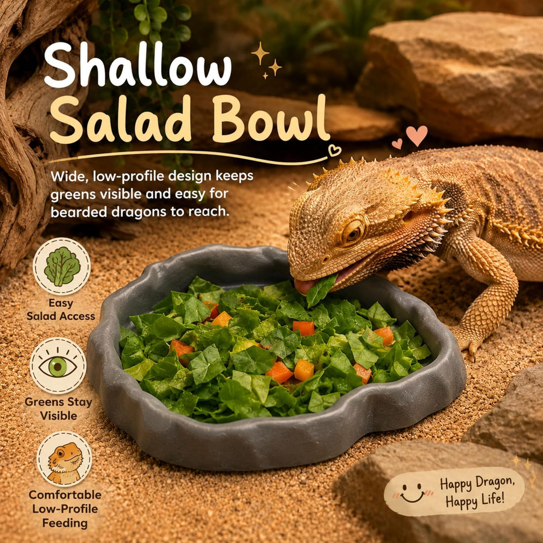 Bearded Dragon Food Bowl Set with Veggie Clips, Shallow Salad Dish