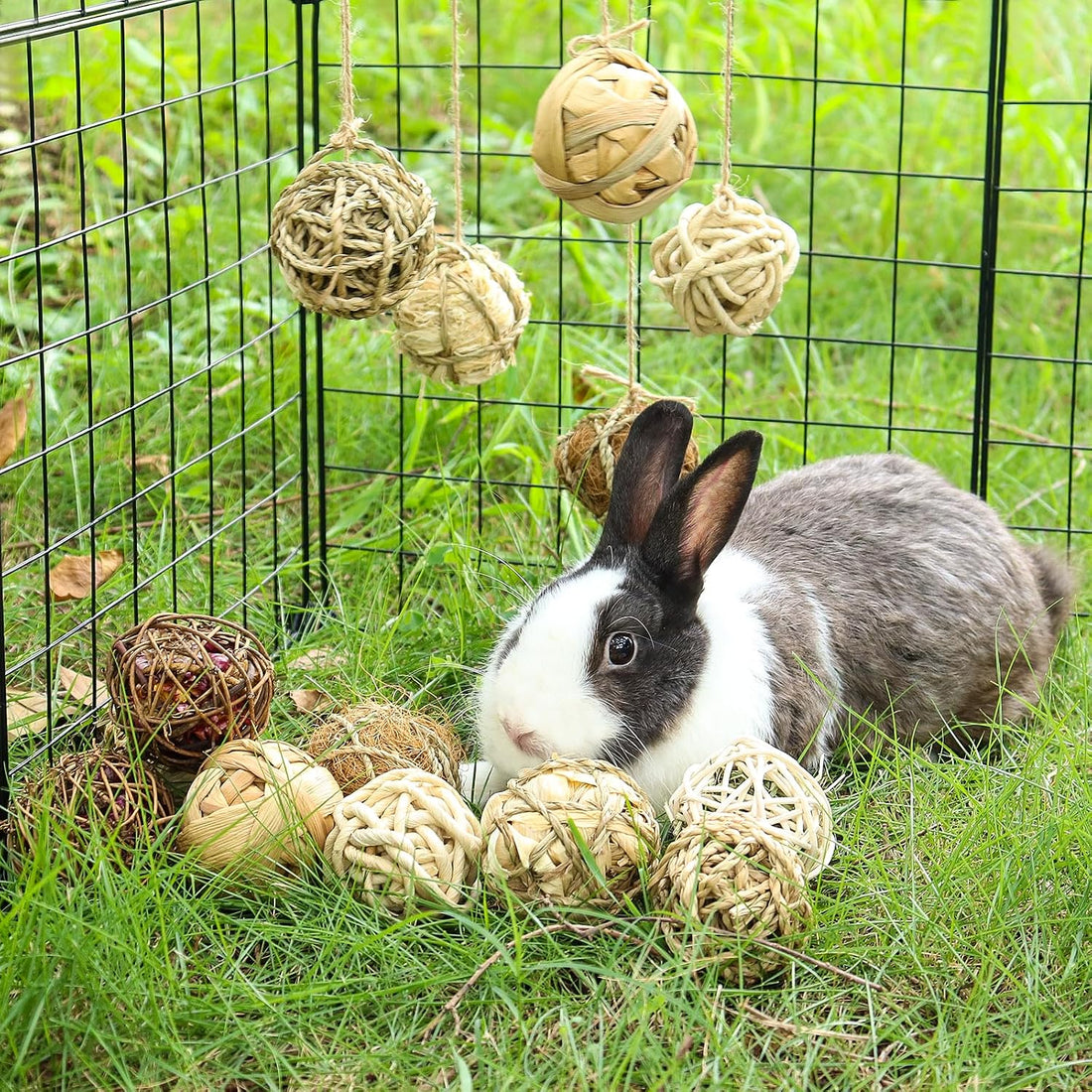 9PCS Bunny Chew Grass Balls with Rope