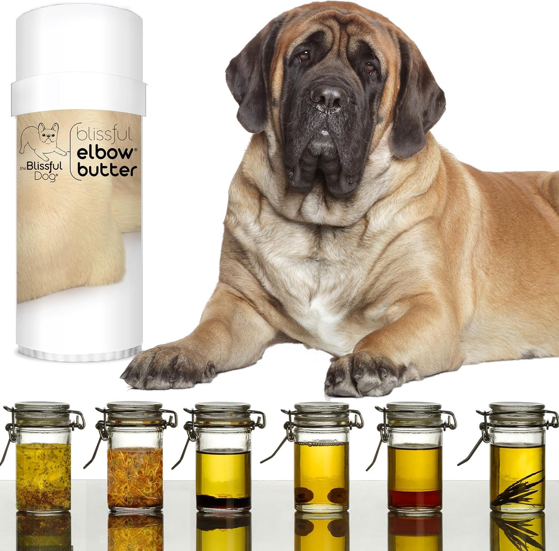 The Blissful Dog Elbow Butter for Dry, Cracked Calluses