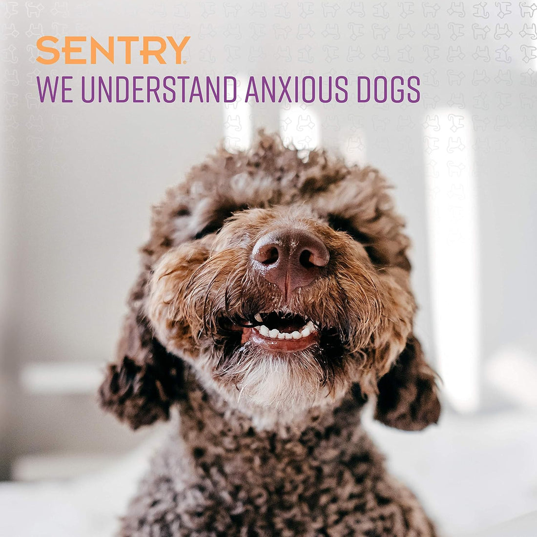 Sentry Pet Care Stop that! Behavior Correction Spray for Dogs