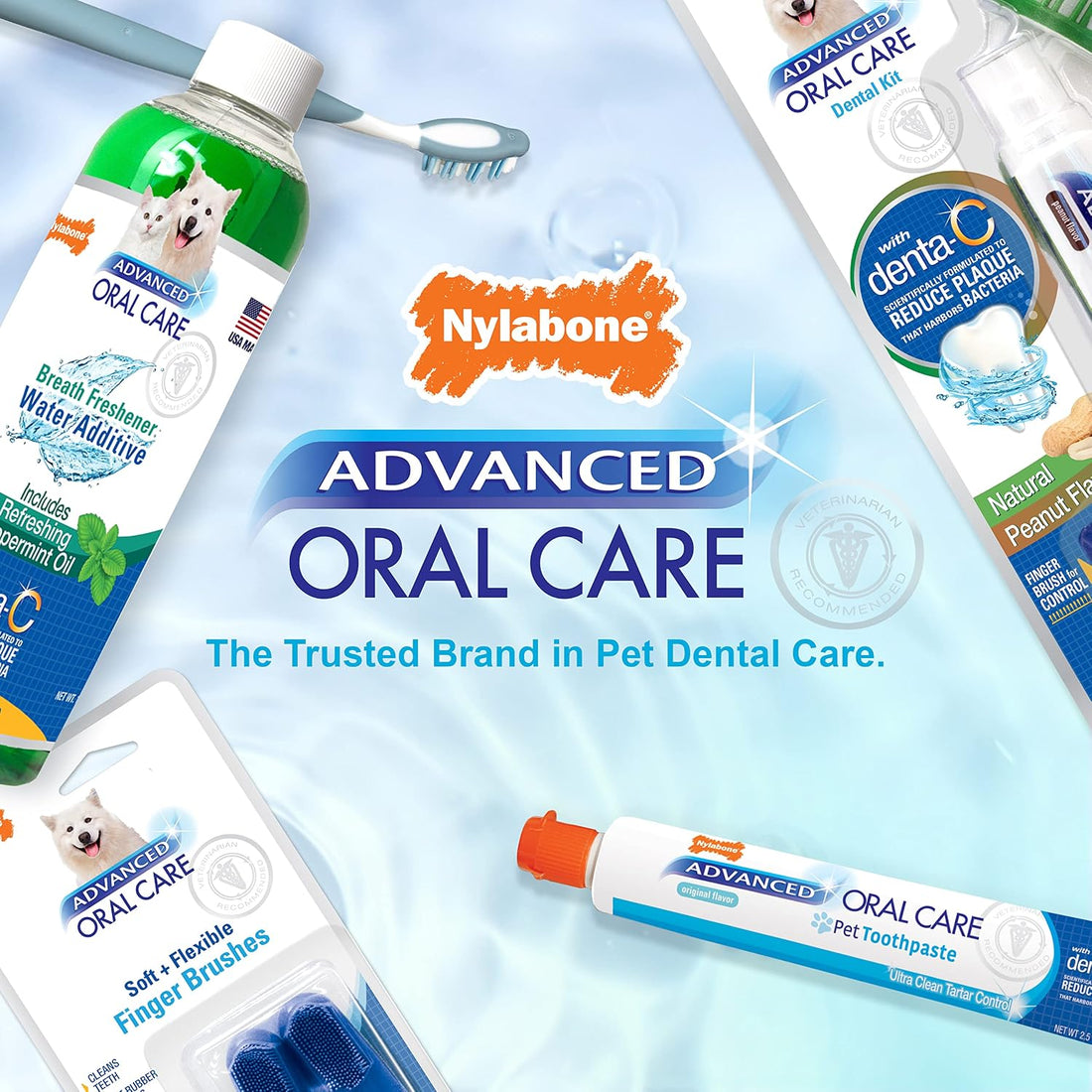 Nylabone Advanced Oral Care Dental Kit
