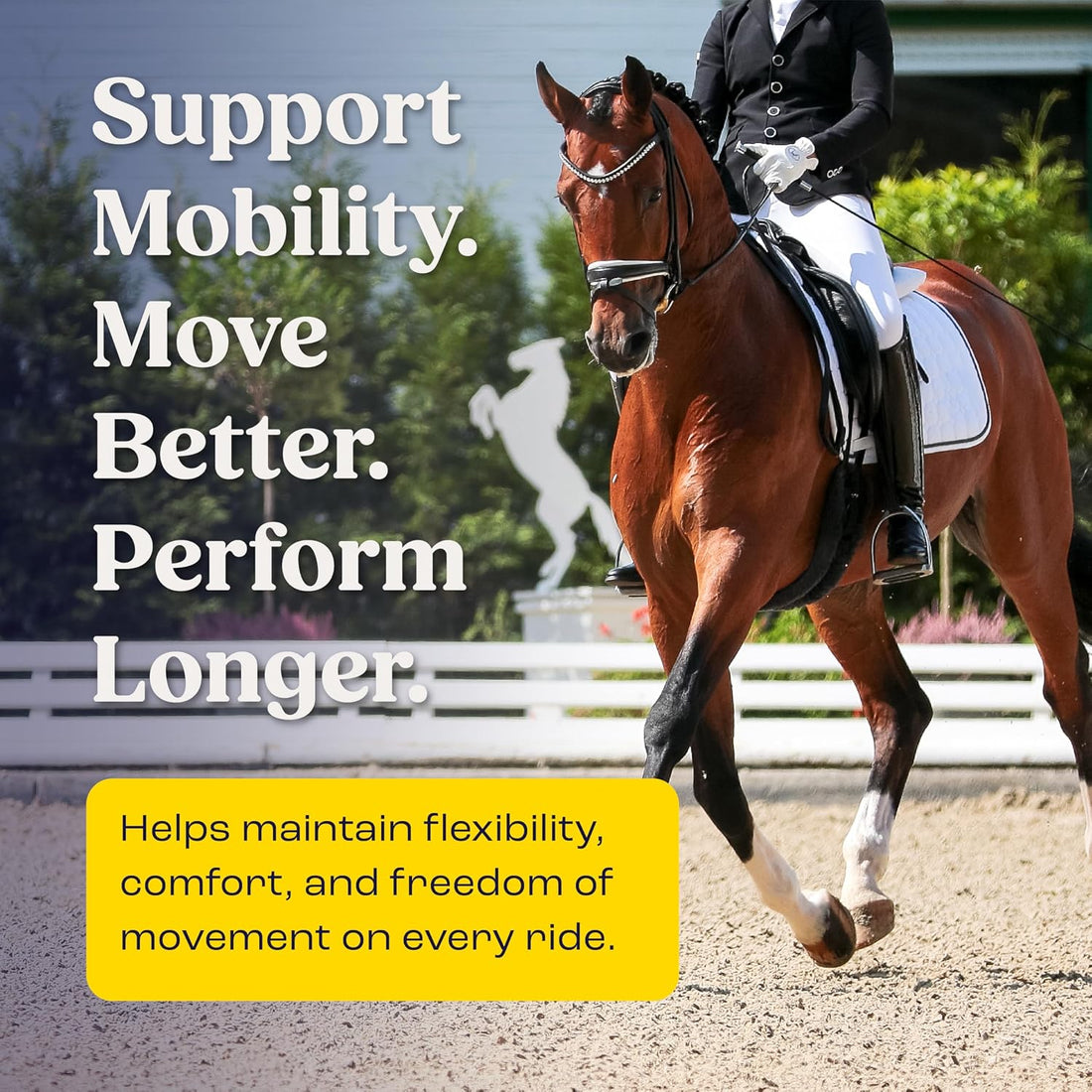 Joint & Mobility Sublingual for Horses, 4pk