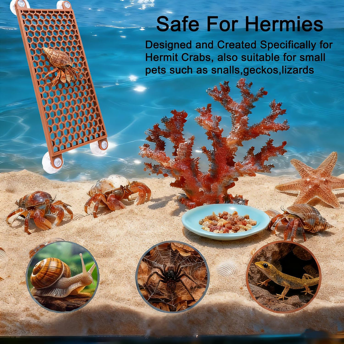 Hermit Crab Climbing Toy, Reptile Habitat Decor Exercise Playground