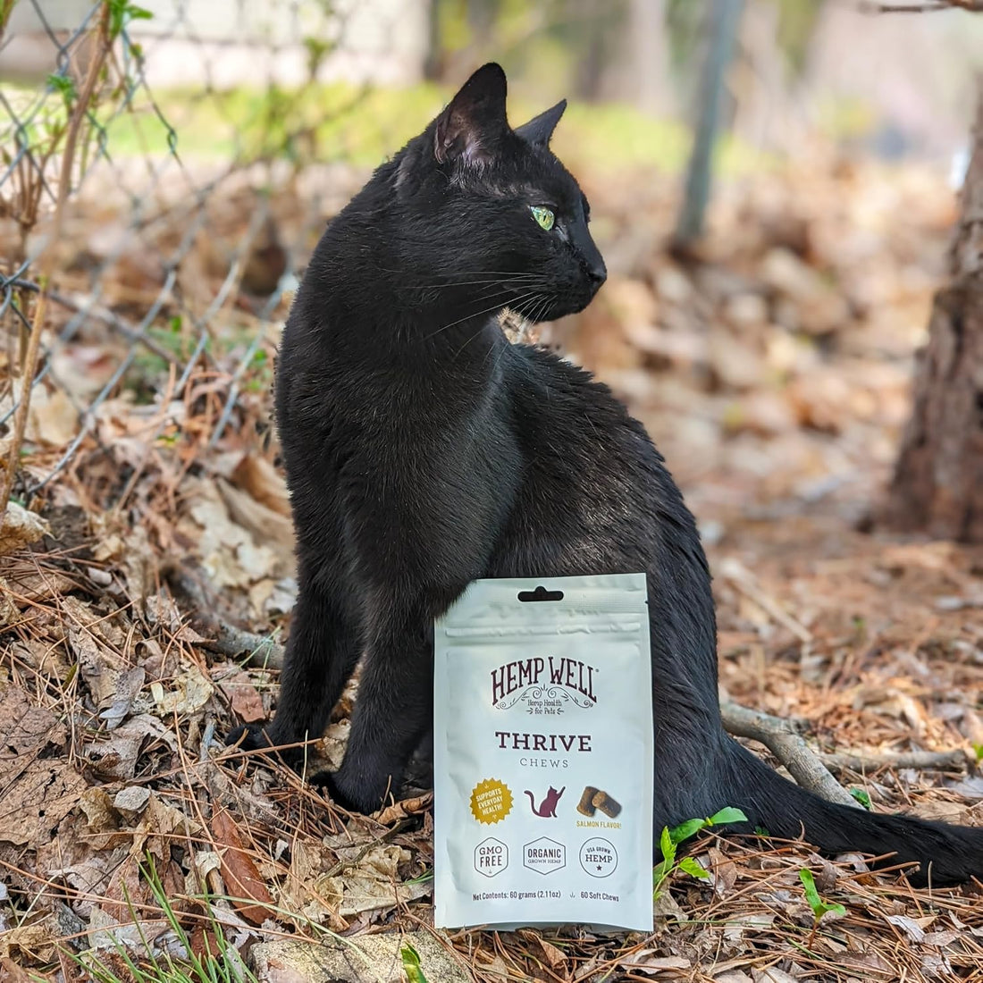 Hemp Well Organic Thrive Cat Soft Chews, Hip & Joint Support, 60-Count