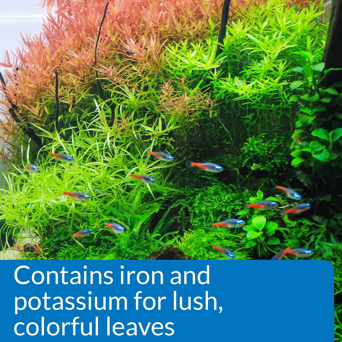 API LEAF ZONE Freshwater Aquarium Plant Fertilizer 18-Ounce Bottle