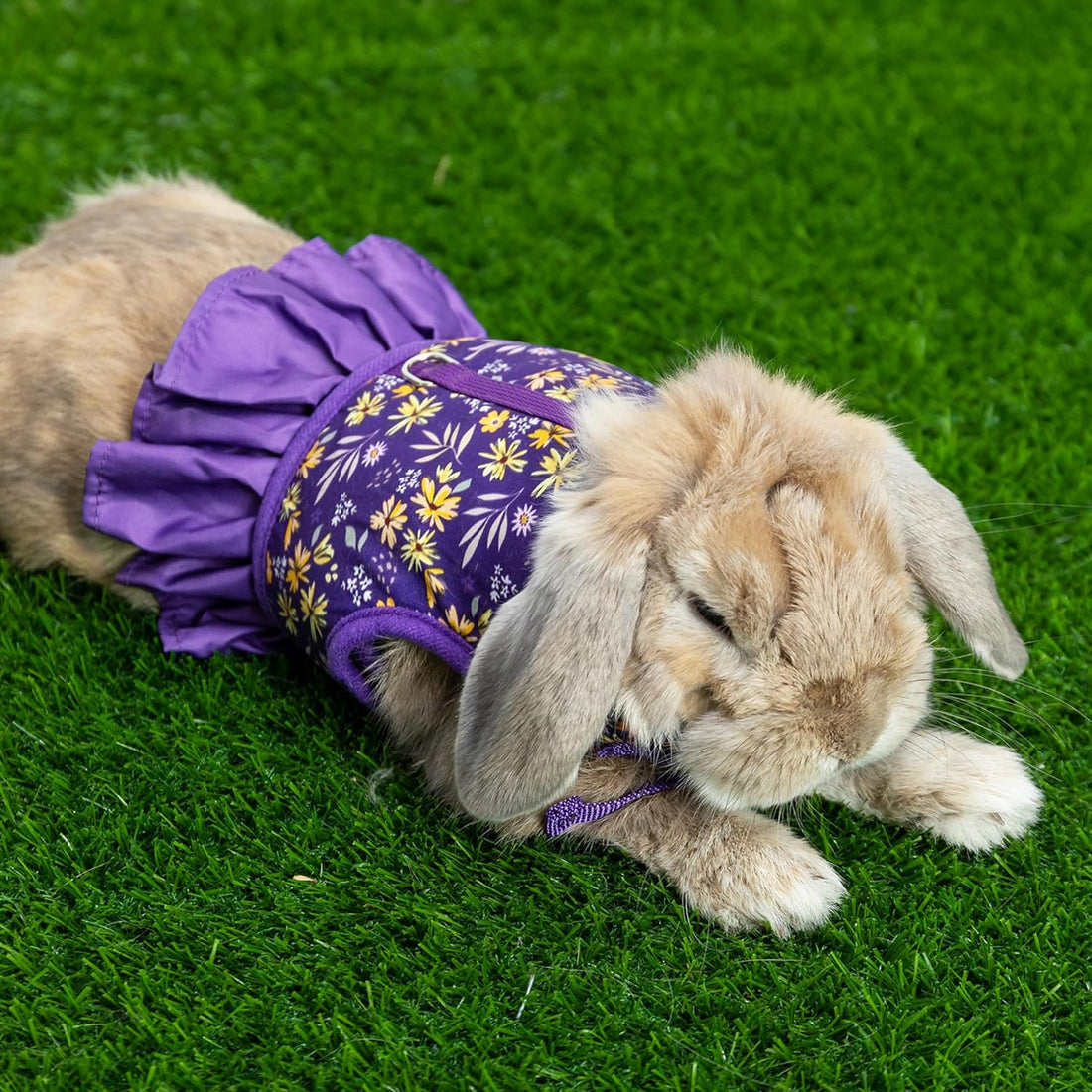 Bunny Harness and Leash Set, Escape Proof Floral Mesh Rabbit Vest