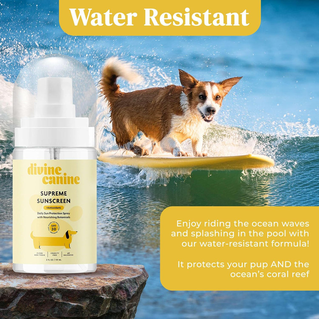 Dog Sunscreen Spray - SPF 30 Sun Protection - Gift Set Kit