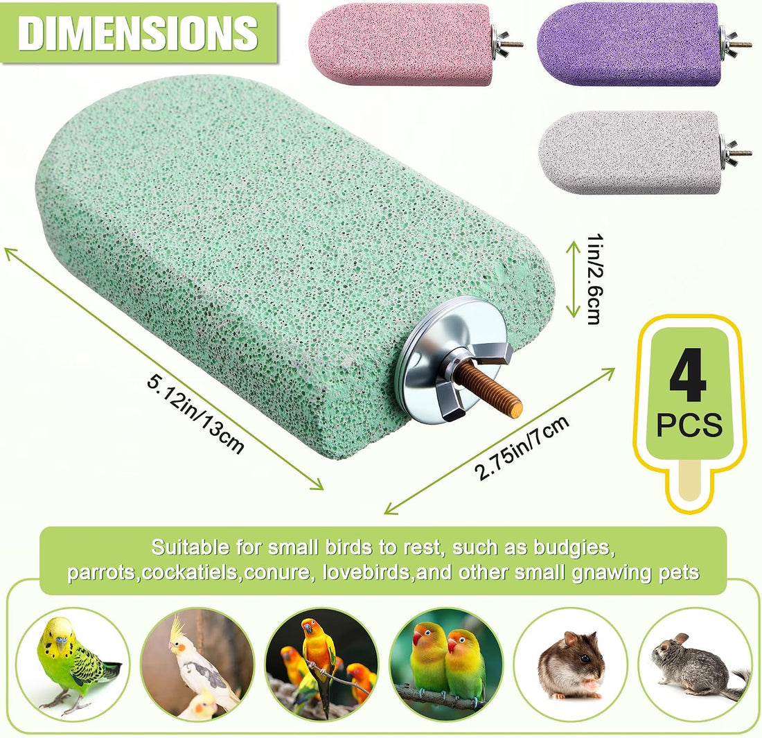 4 PCS Bird Beak Grinding Stone Pumice Lava Ledge