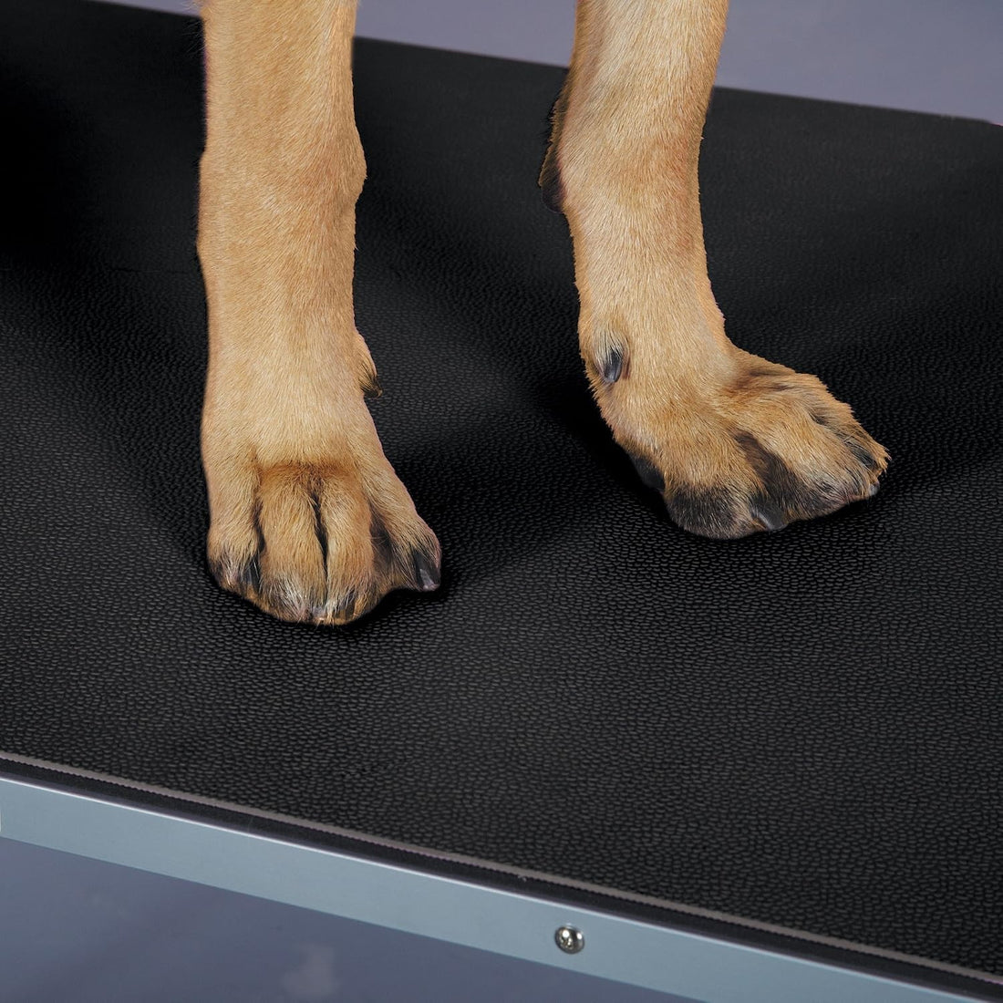 Top Performance Foam and PVC Pet Grooming Table Top Mat