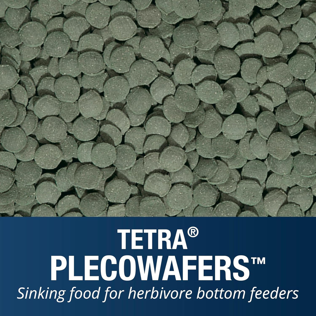 Tetra PlecoWafers Fish Food for Algae Eaters, 3.03 oz