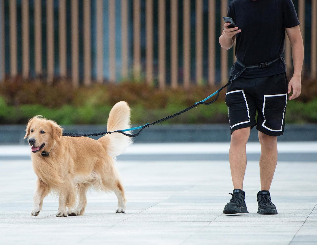 iYoShop Hands Free Dog Leash with Zipper Pouch