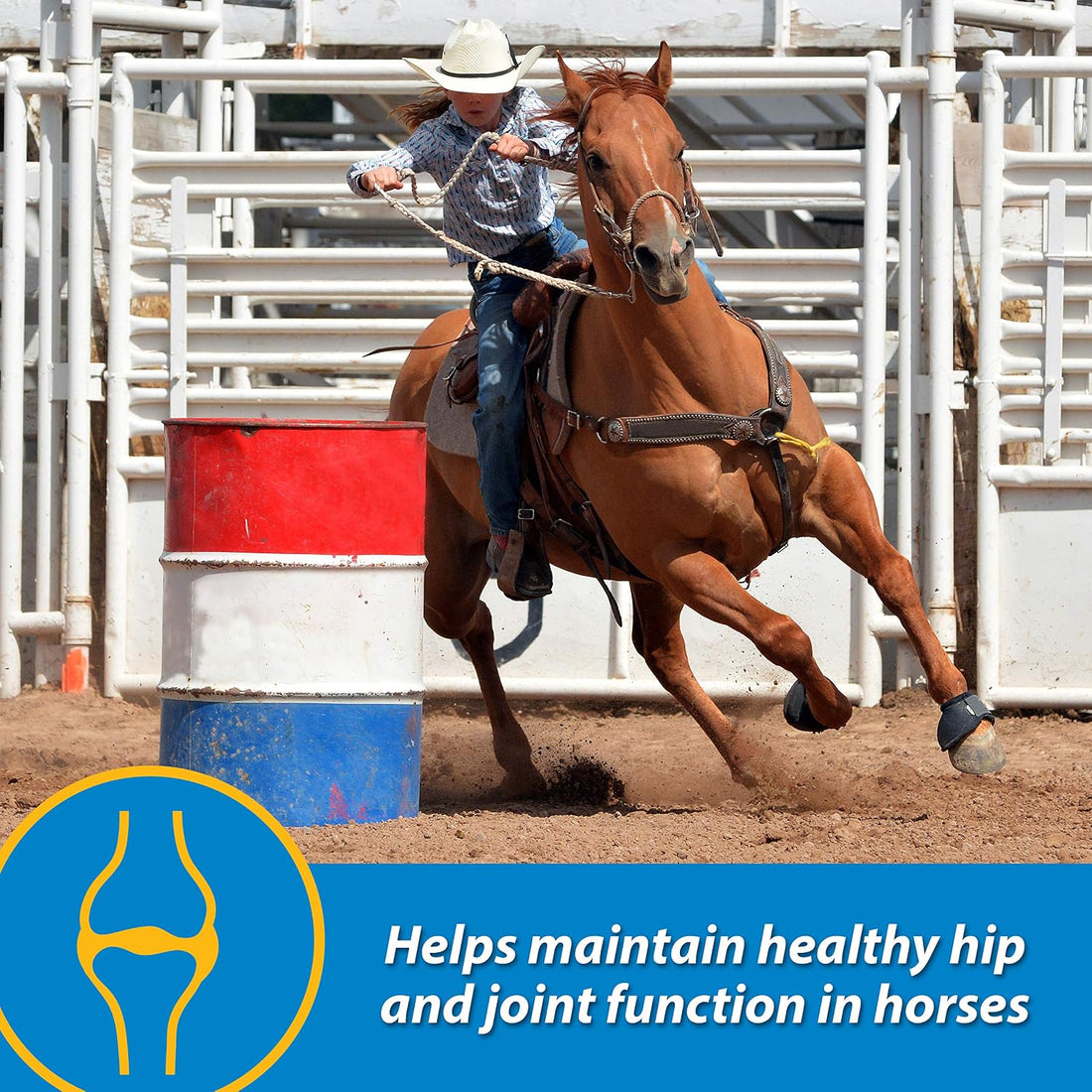 Farnam Fluidflex Glucosamine Joint Supplement for Horses, 32 oz.