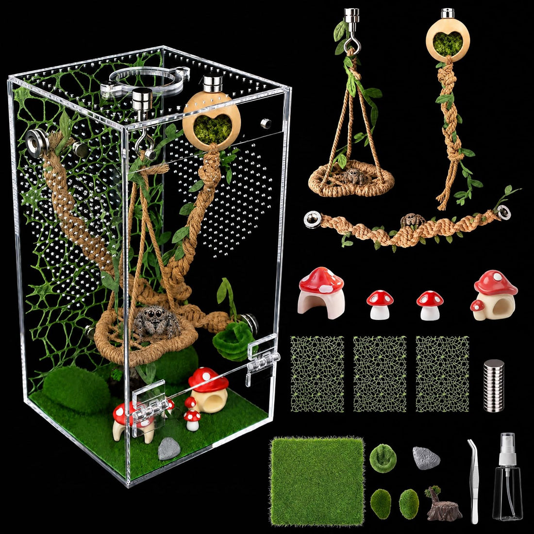 Jumping Spider Enclosure Kit