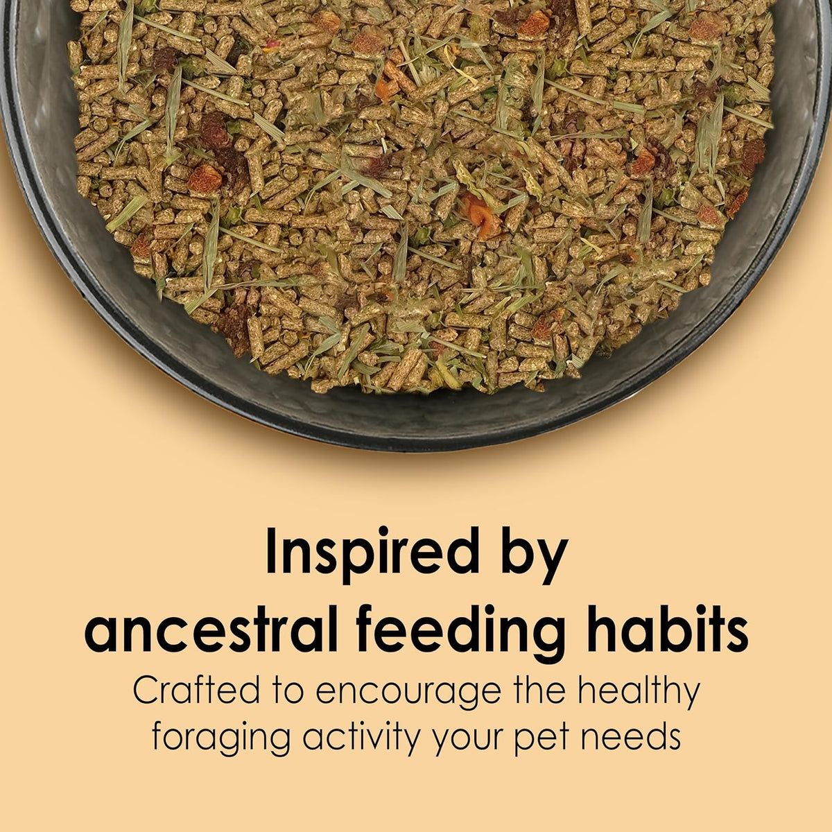 Kaytee Food from the Wild Chinchilla (Chinchilla Food), 3 Pounds