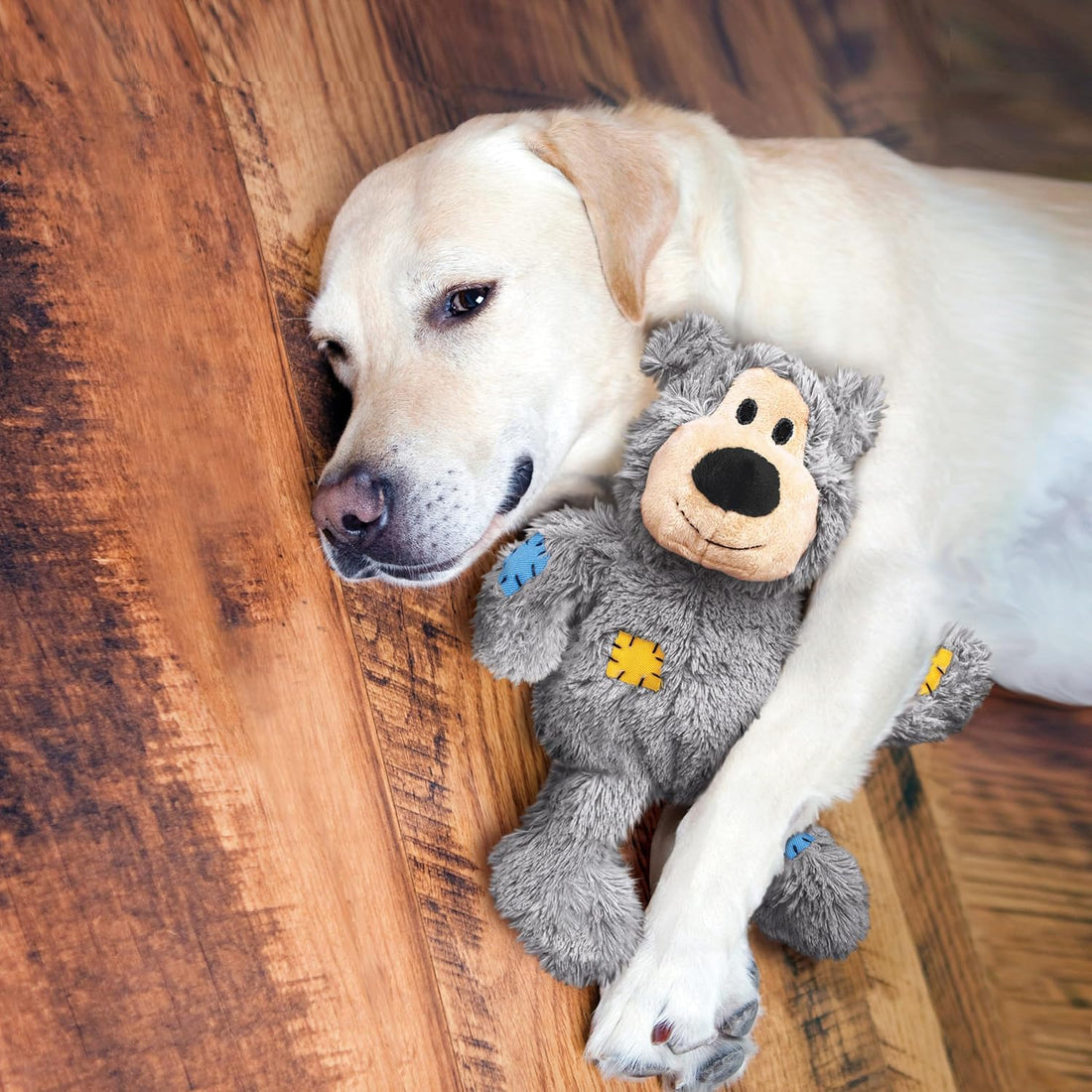KONG Wild Knots Bears - Durable Dog Toys with Internal Knotted Ropes