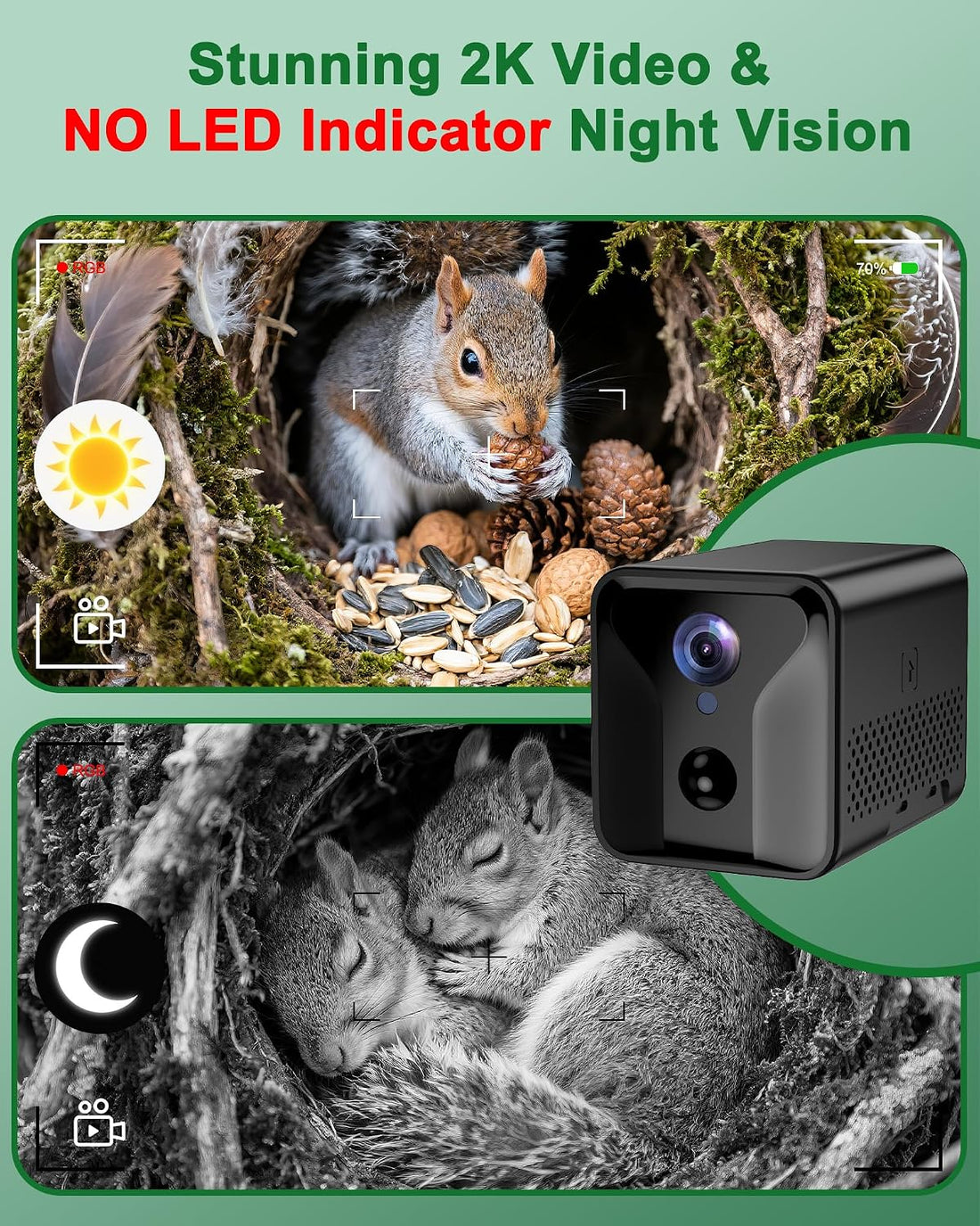 KinetCam Smart Squirrel Box with Camera,Separate Camera