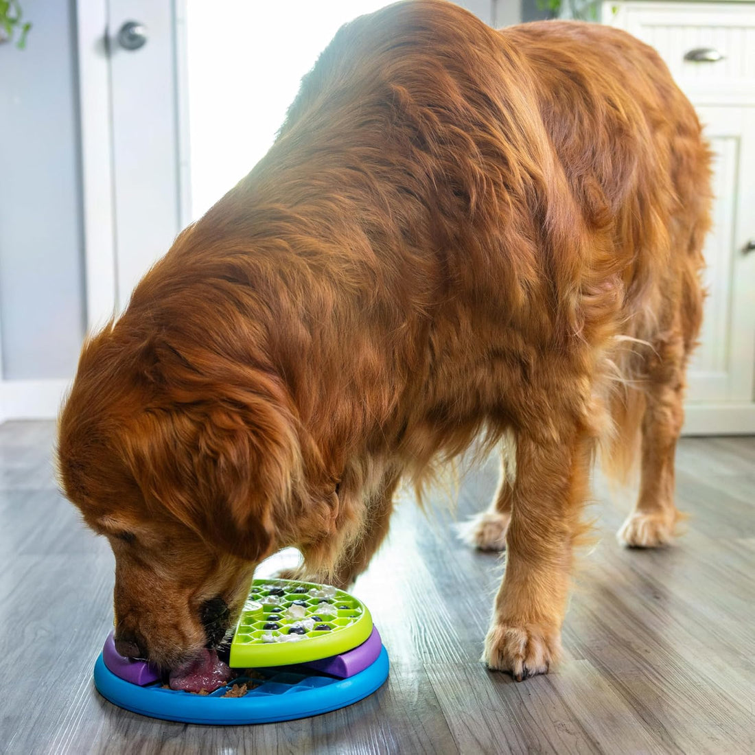 Outward Hound by Nina Ottosson Lickin’ Layers 3-in-1 Interactive Dog