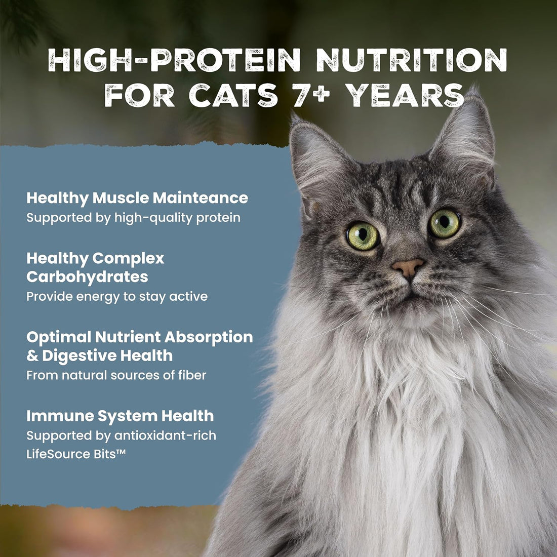 Blue Buffalo Wilderness Natural Mature Dry Cat Food for Cats 7+ Years