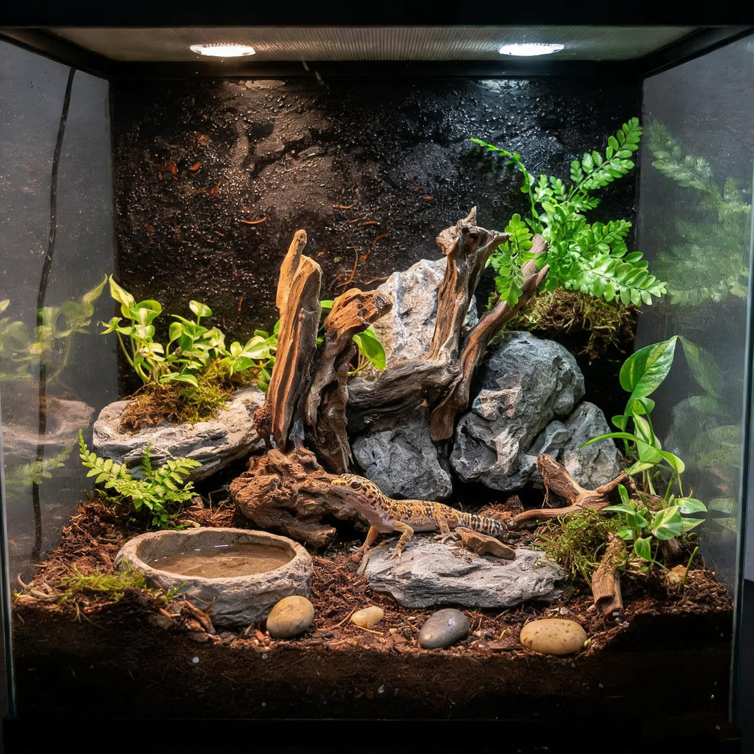 EmoursTM Aquarium Sinkable Driftwood Fish Tank Decoration (Small)