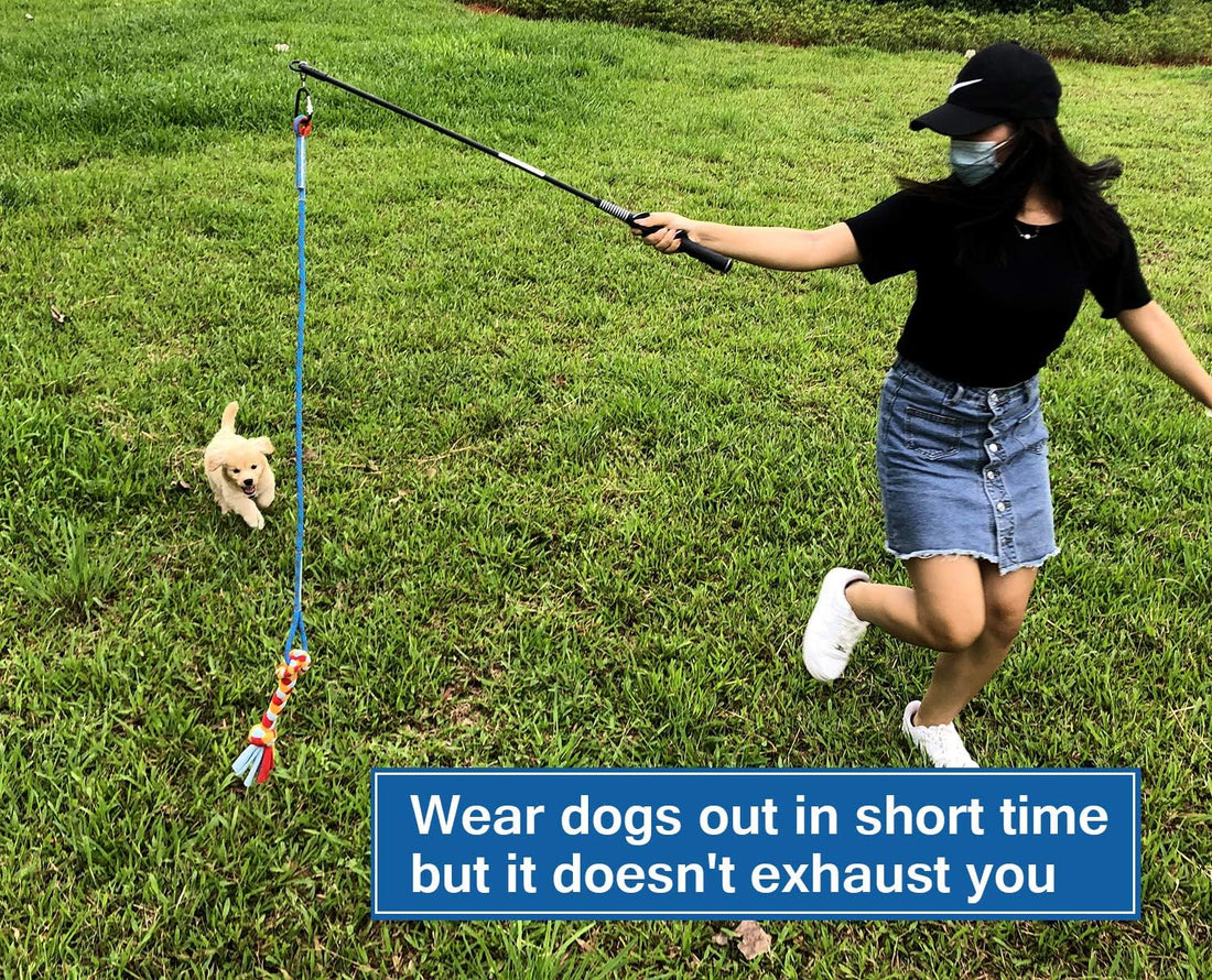 Interactive Flirt Pole Toy for Dogs Chase and Tug of War,Durable