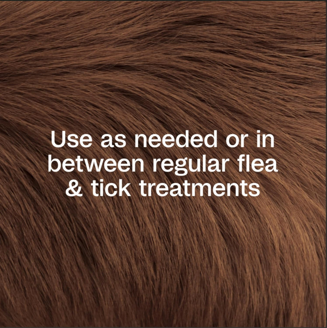 ADAMS Botanicals Flea & Tick Pet & Home Spray, Flea Spray for Dogs