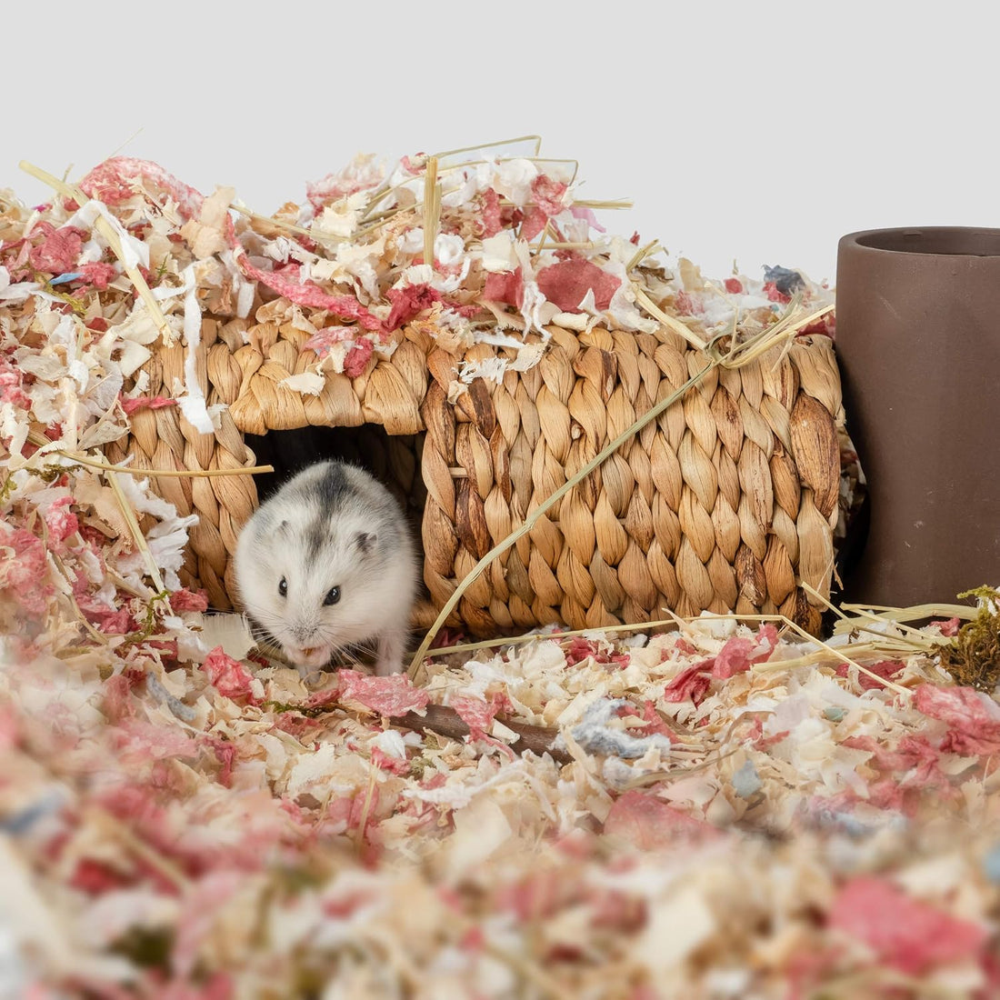 Niteangel Creative & Composable Hamster Tunnel