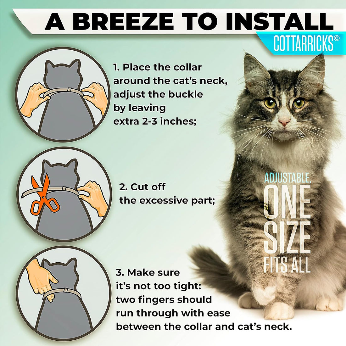 Flea and Tick Prevention for Cats - Collar - 2 Count - Adjustable