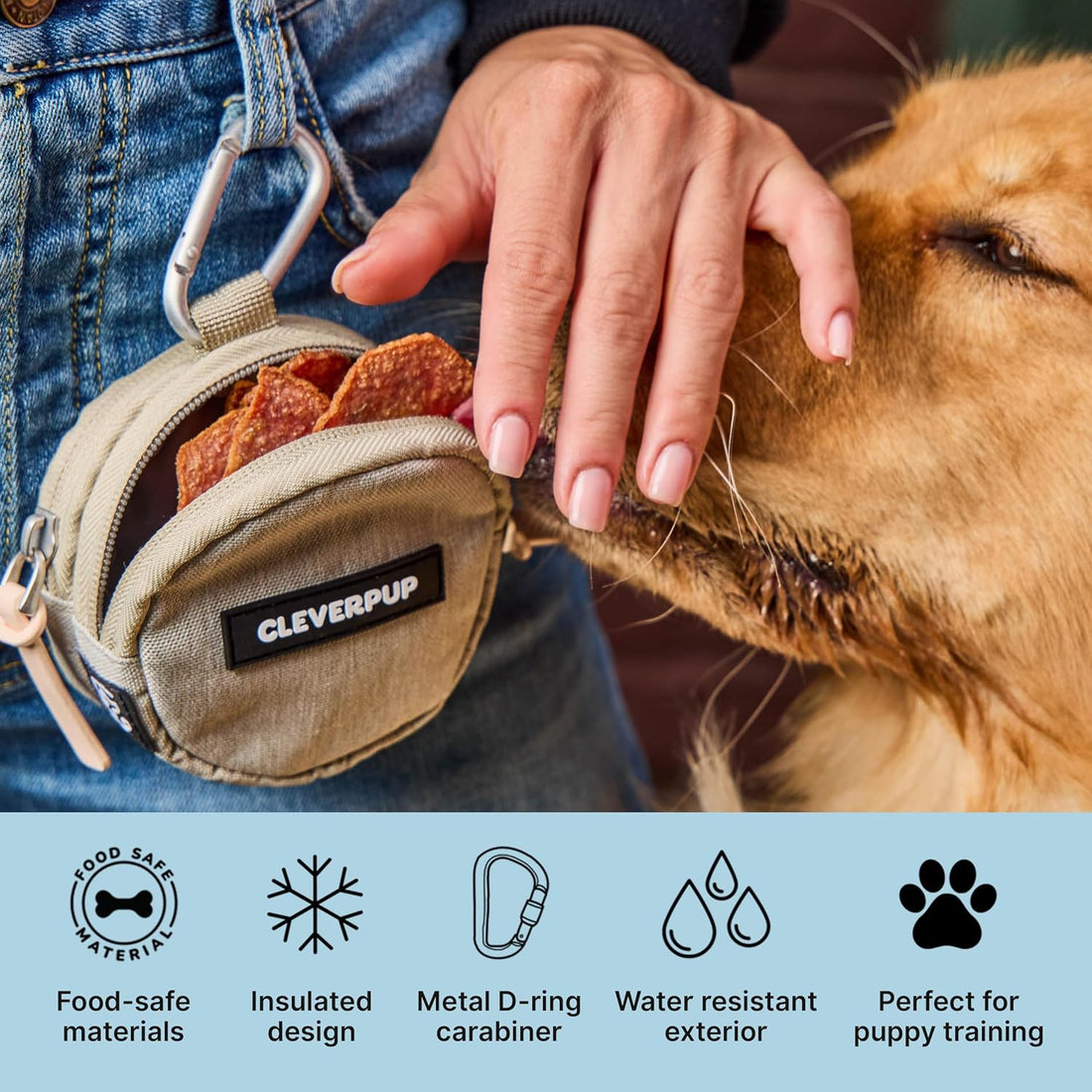 Cleverpup Snackpack Double Insulated Dog Treat Pouch