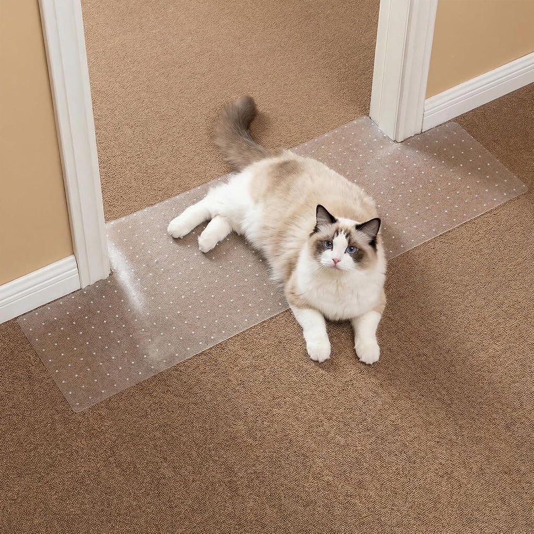 Carpet Protector, Clear PVC Doorway Mat for Cats & Dogs