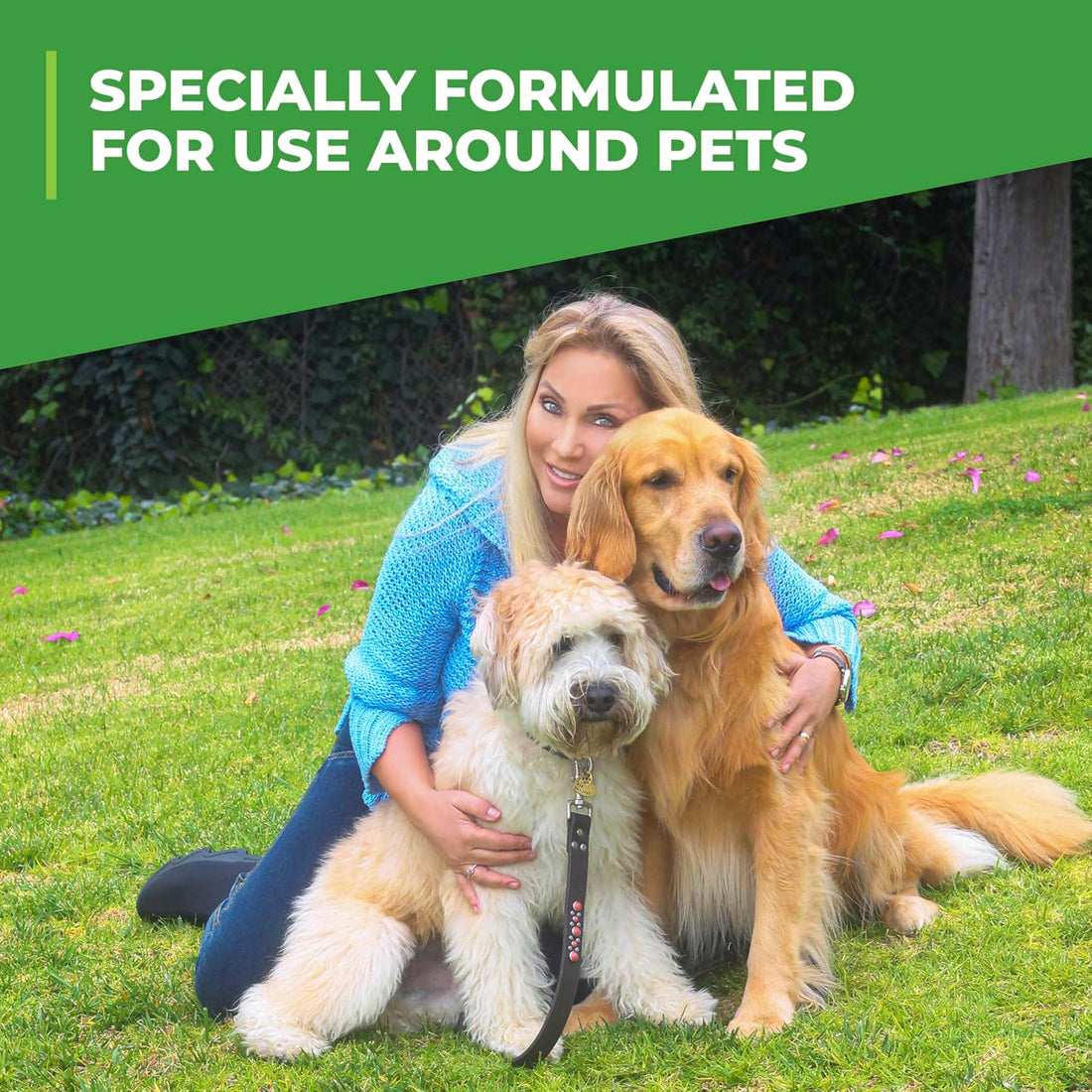 Simple Green Outdoor Odor Eliminator for Pets, Dogs, 1 gallon Refill
