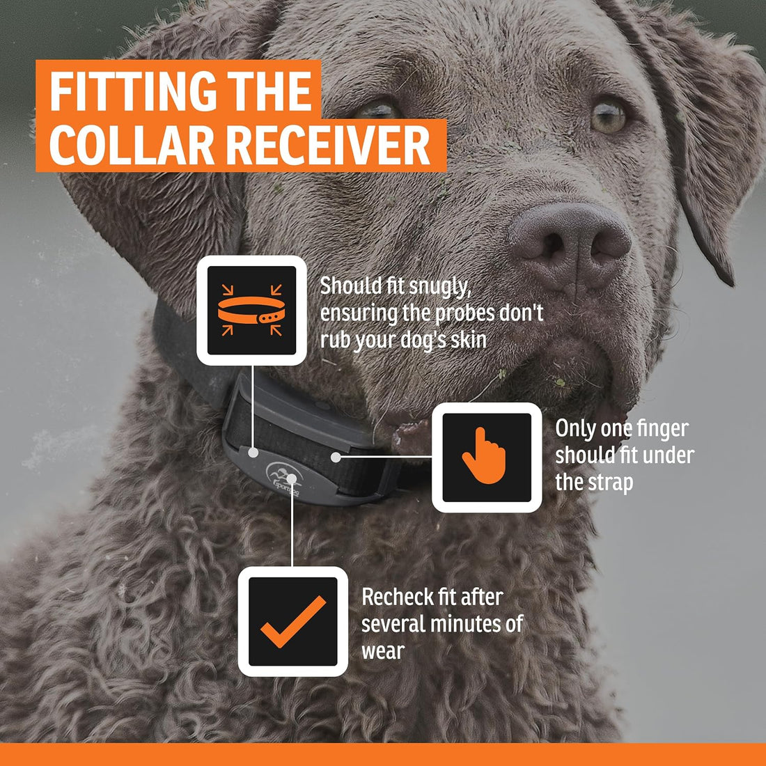 SportDOG NoBark Rechargeable Bark Collar