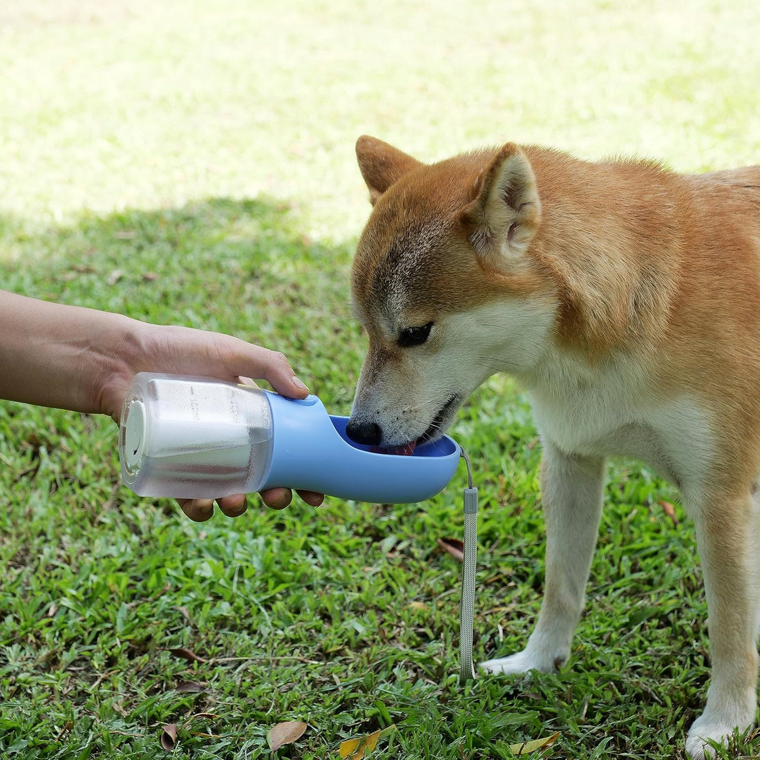Dog Water Bottle with Food Container